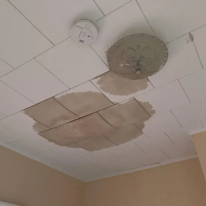 Ceiling Water Damage Repair in Lockport Heights, LA