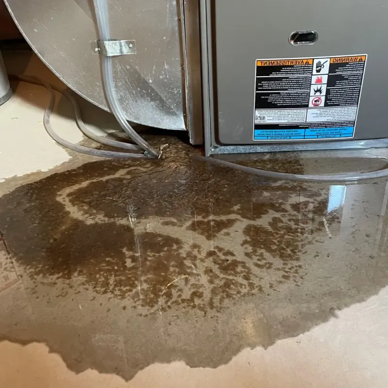 Pipe Burst and Leak Restoration in Lockport Heights, LA