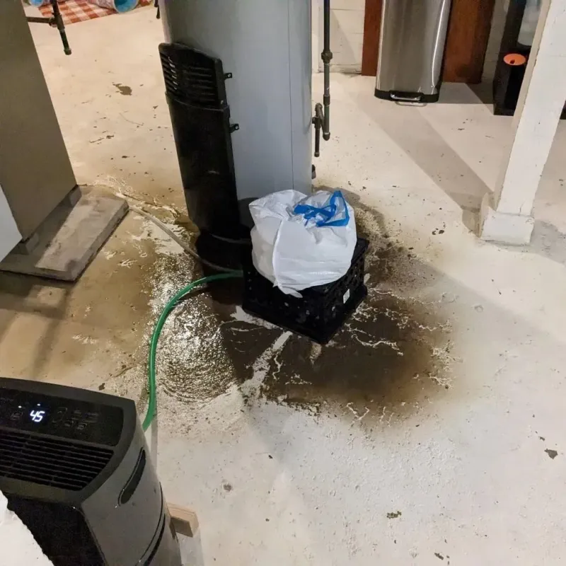 Sewage Backup Cleanup Service in Lockport Heights, LA